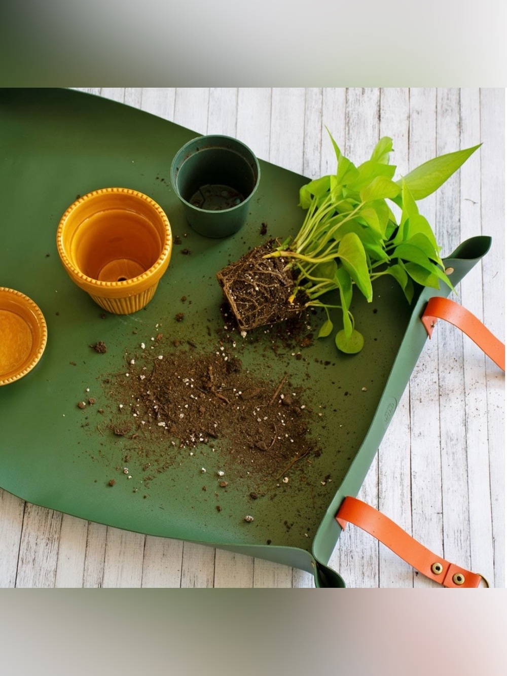 We The Wild Potting Mat Waterproof Reusable Repotting Plant Mat Green
